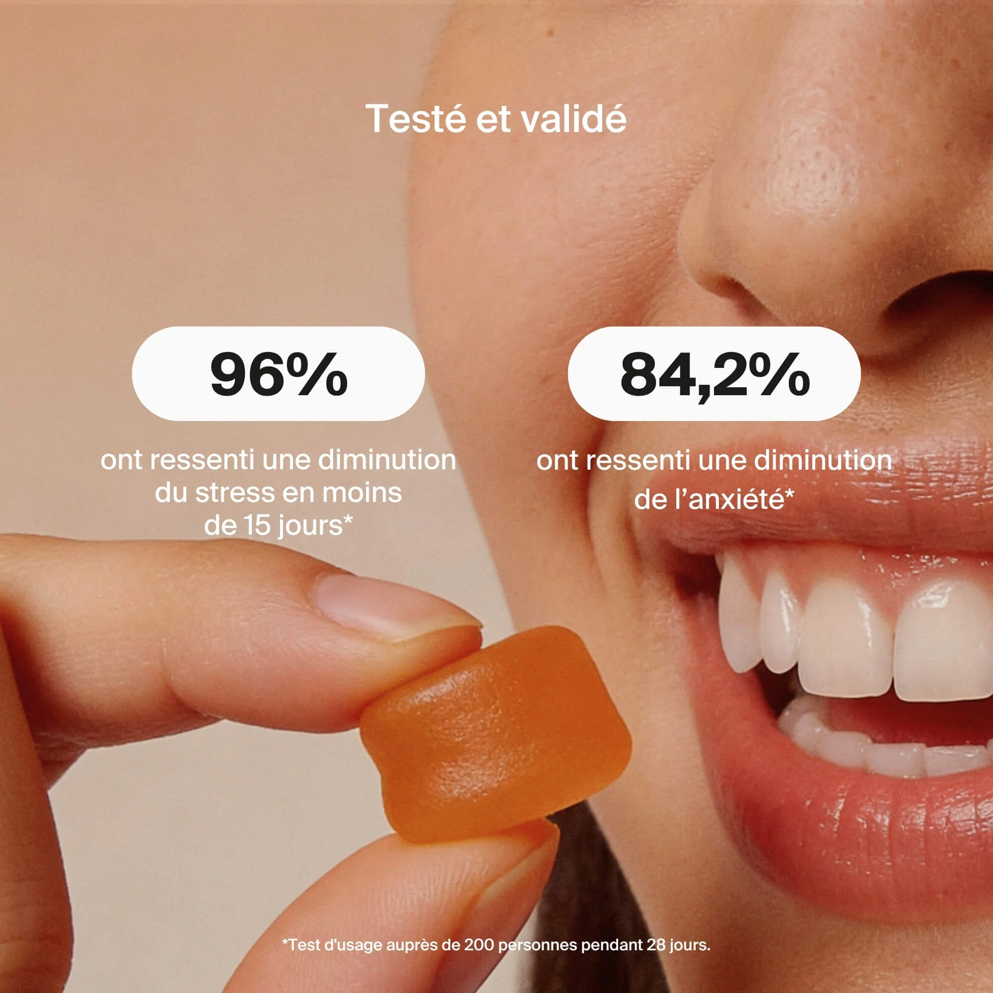 Duo Jour & Nuit - Image 6